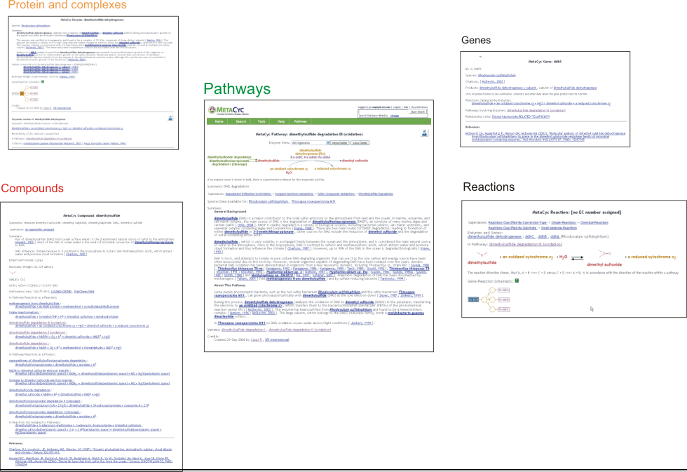 Overview2.png